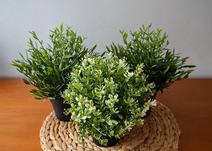 Διαμέρισμα Beauty Basic House *