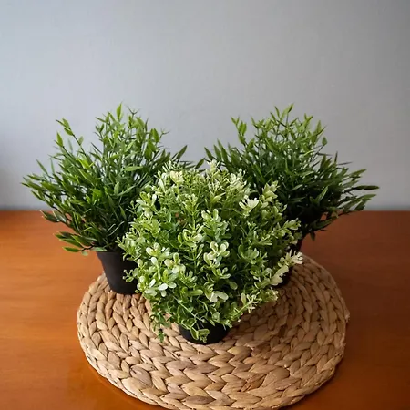 Appartamento Beauty Basic House *